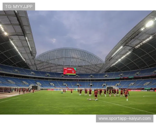 世预赛球场启用VAR技术，判罚准确性提升